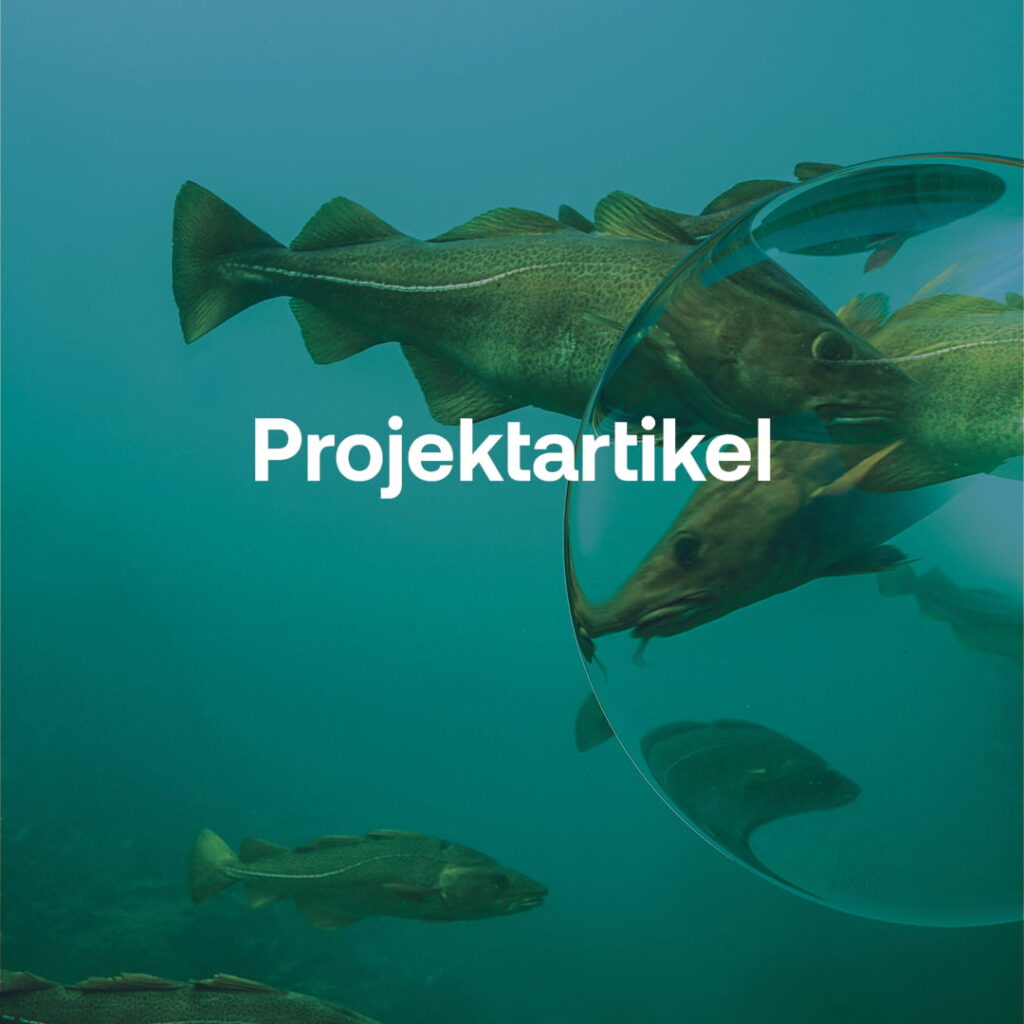 Projektartikel.