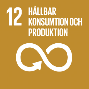 12. Hållbar konsumtion och produktion.