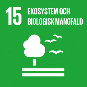 15. Ekosystem och biologisk mångfald.