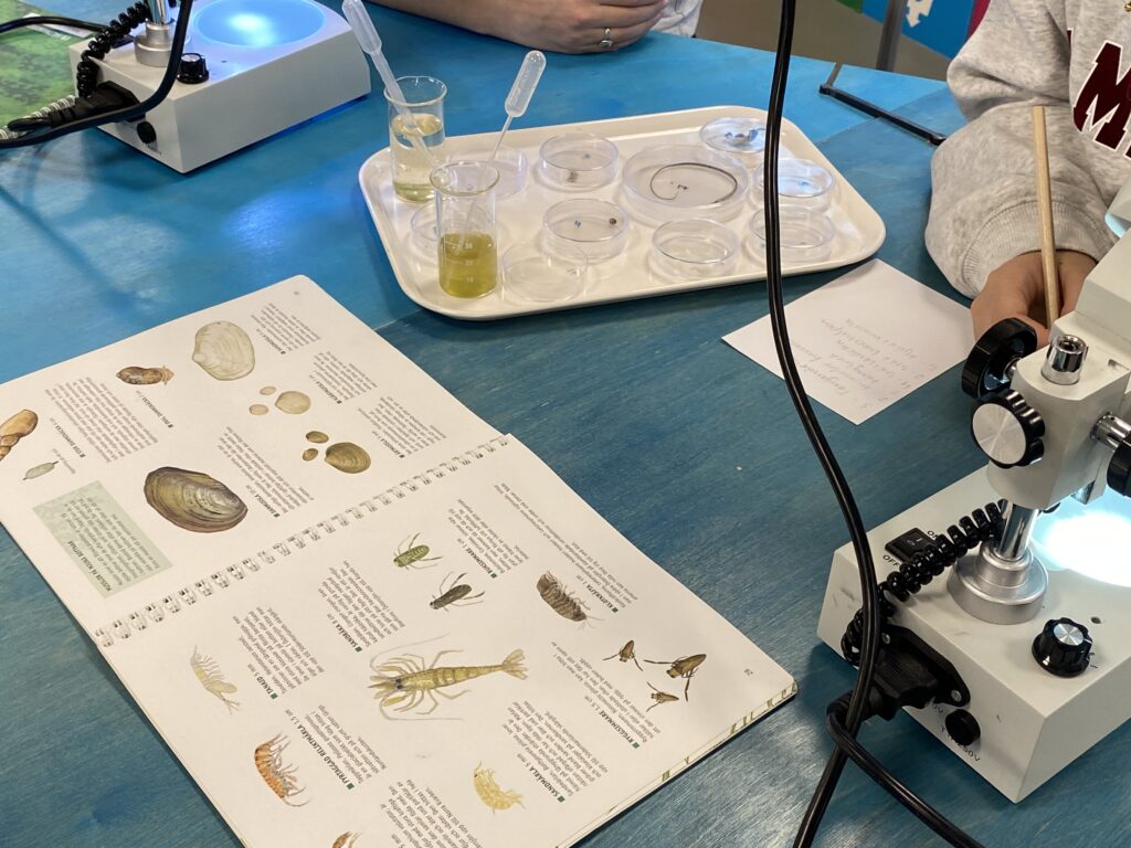 Lektion i labbet för eleverna på Baltic Sea Science Center.