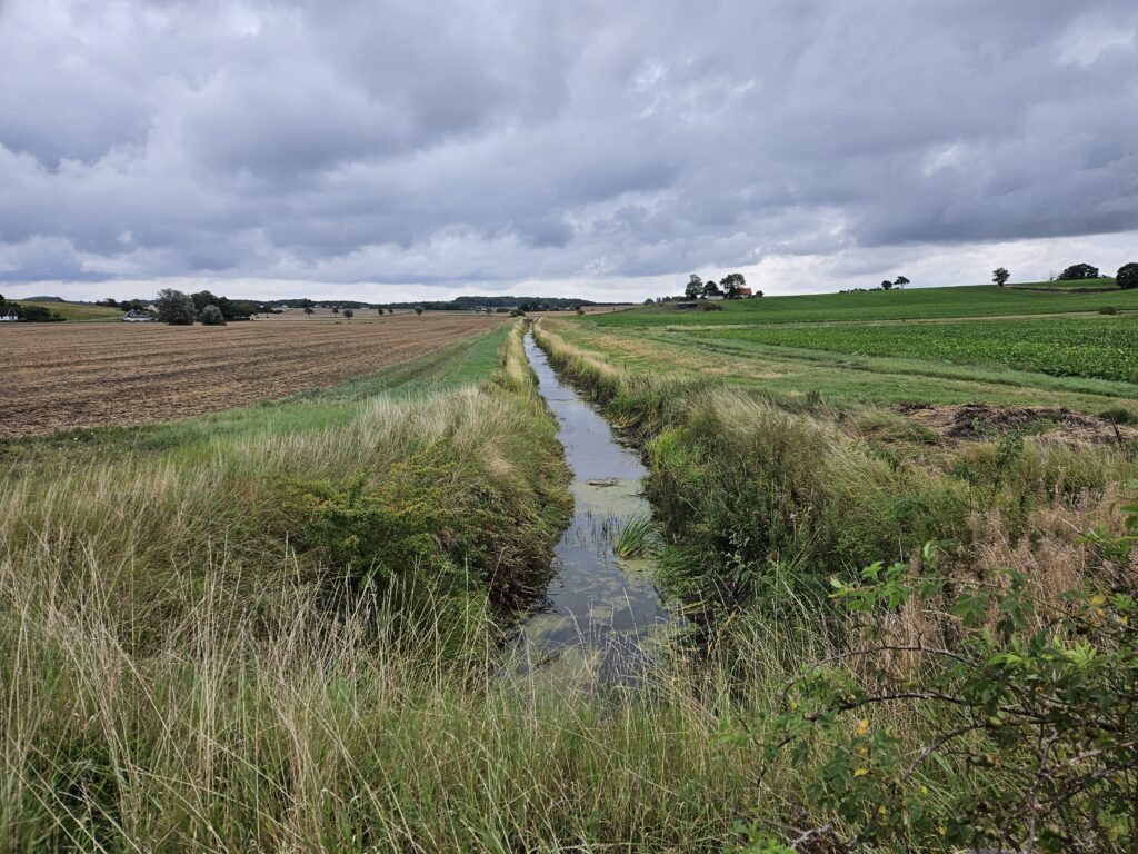 Tulltorpsån i Skåne