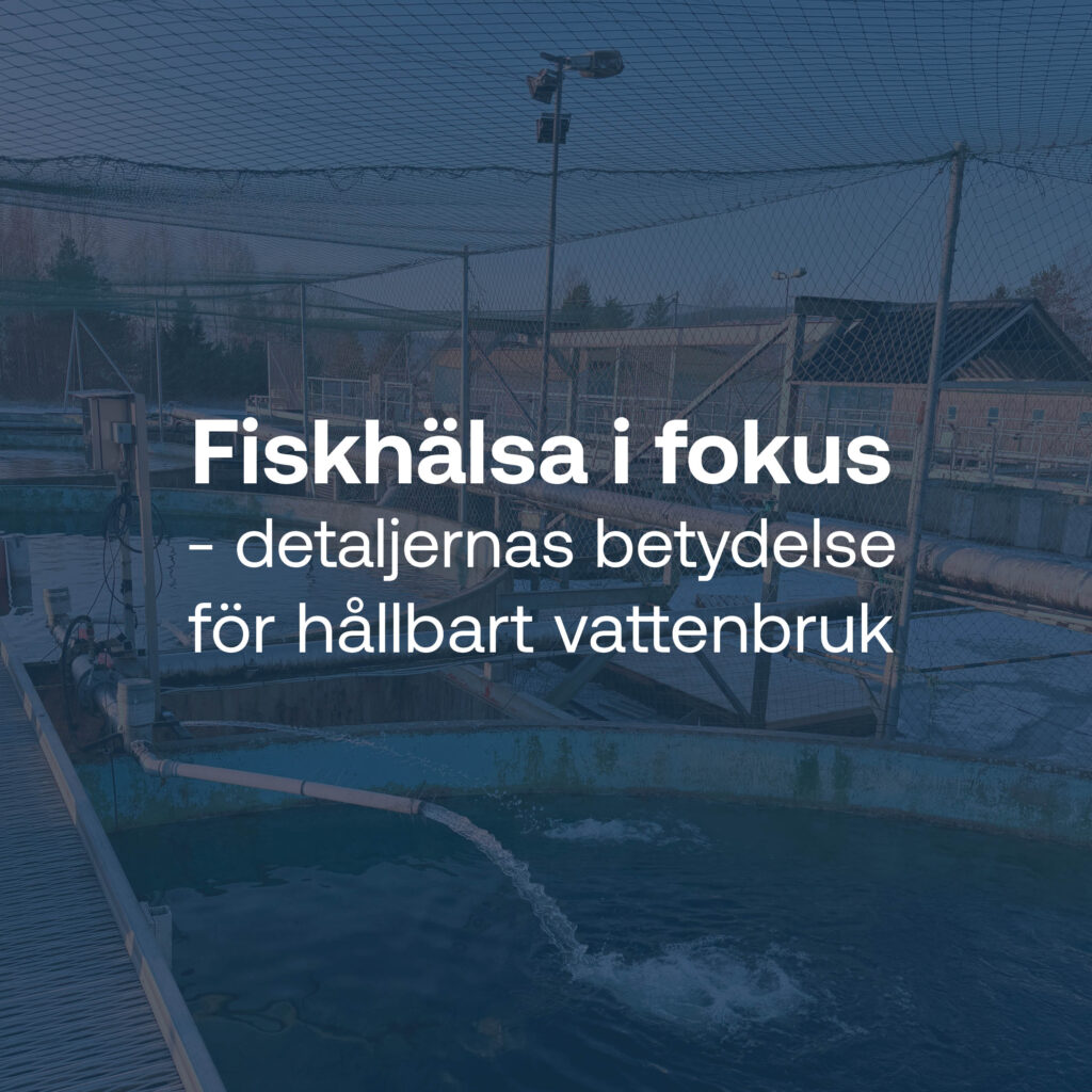 Driftteam på workshop i Sundsvall för att fördjupa sig i fiskhälsa och välfärd