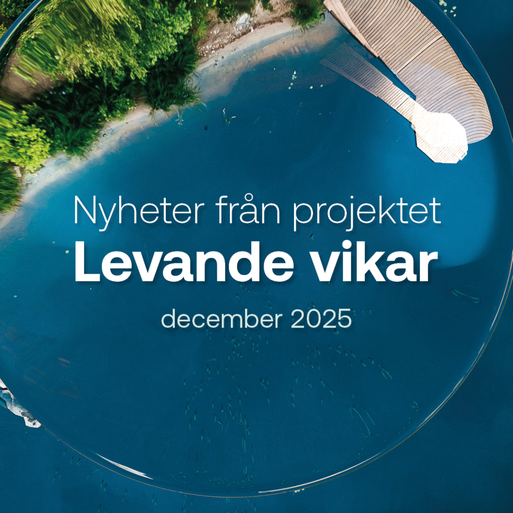 Nyheter från projektet Levande vikar