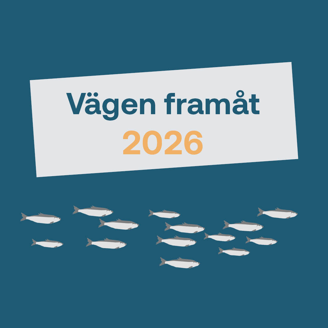 Vägen framåt fiskeripolitiska åtgärder 2026