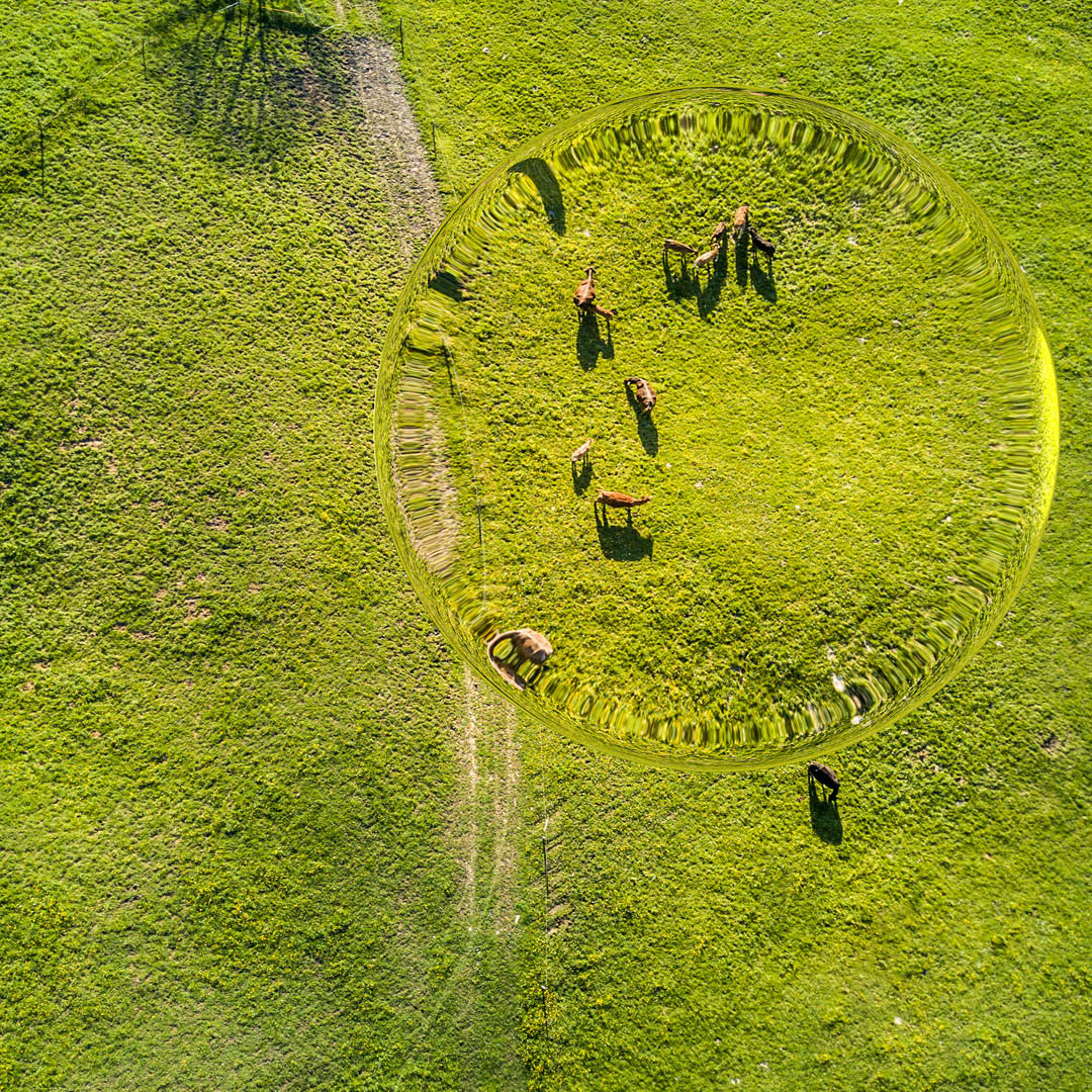 BalticWaters opinionsprojekt återcirkulera växtnäring