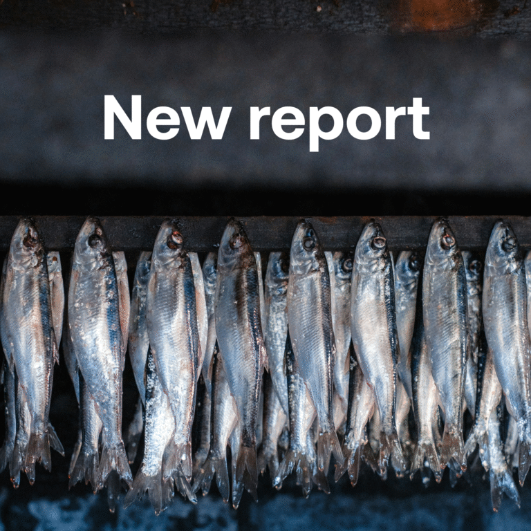 Cecilia Solér report BalticWaters 2026