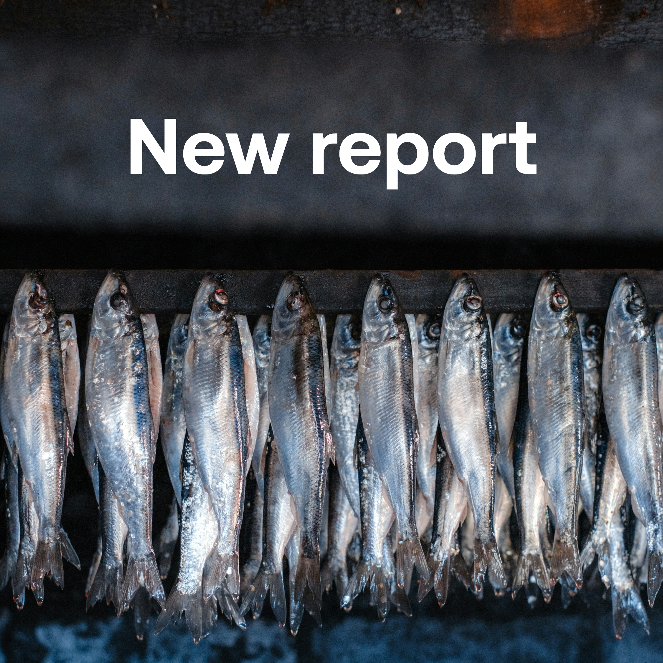 Cecilia Solér report BalticWaters 2026