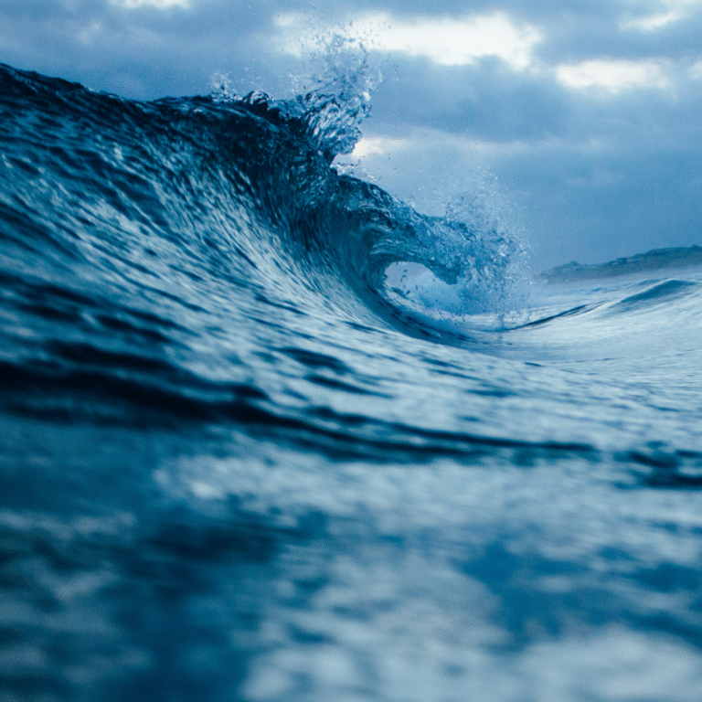 Ny kunskap som kan vända Östersjöns utveckling