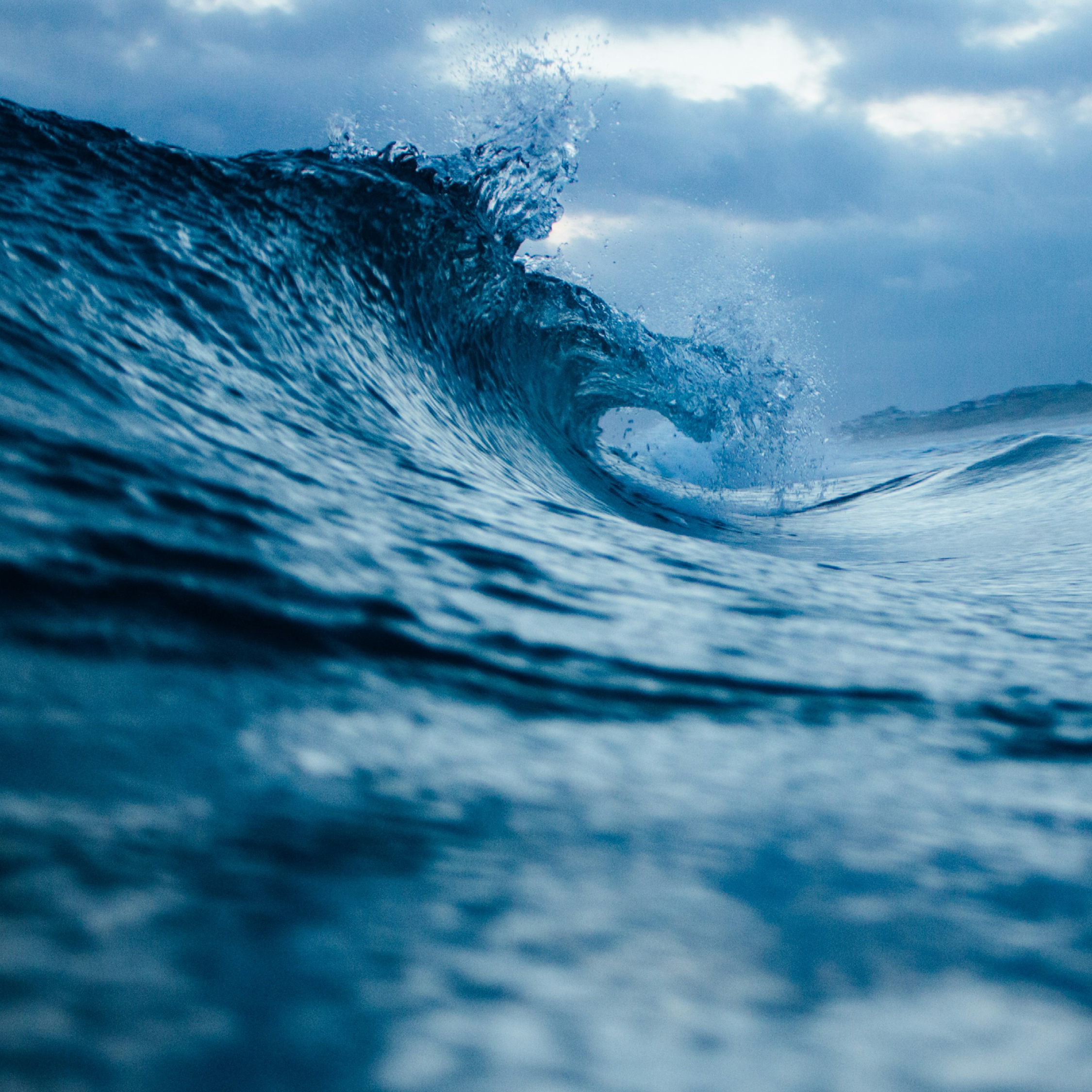 Ny kunskap som kan vända Östersjöns utveckling